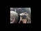 2022 Mercedes-Benz E-Class E 450 4MATIC®